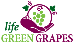 Life Green Grapes